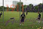 Training