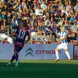 Saison 2013/14