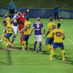 Österreichischer Cup