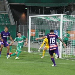 Young Violets Austria Wien