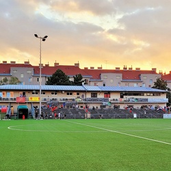 Young Violets Austria Wien