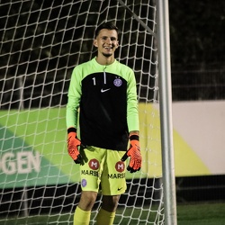 Young Violets Austria Wien