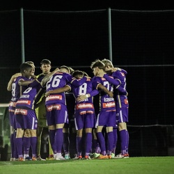 Young Violets vs Ardagger 3:0