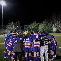 Young Violets Austria Wien