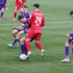 Young Violets Austria Wien