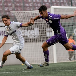 Young Violets Austria Wien